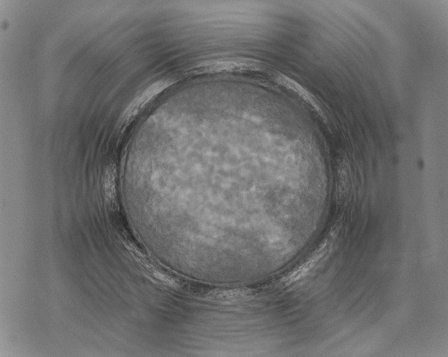 X0000072520778200608041531