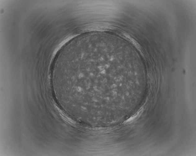 X0000072520779200608041531