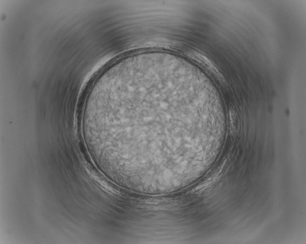 X0000072520780200608041531