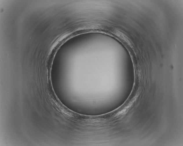 X0000072520781200608041531