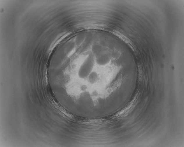 X0000072520782200608041531