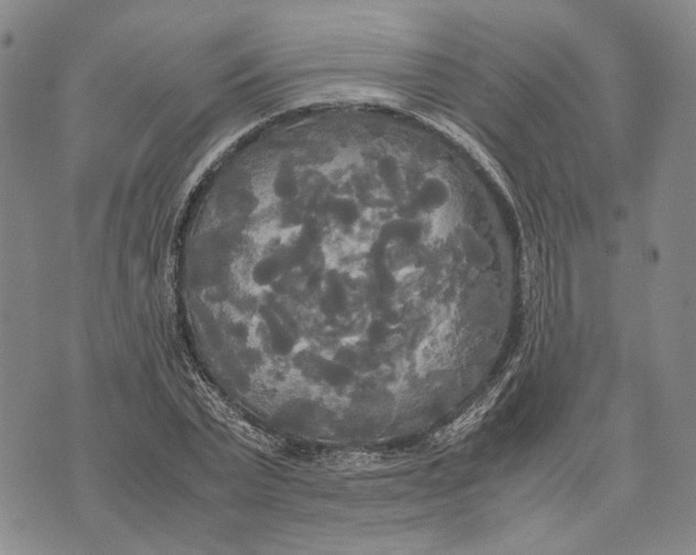 X0000072520783200608041531