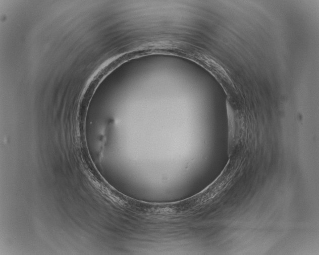 X0000072520784200608041531