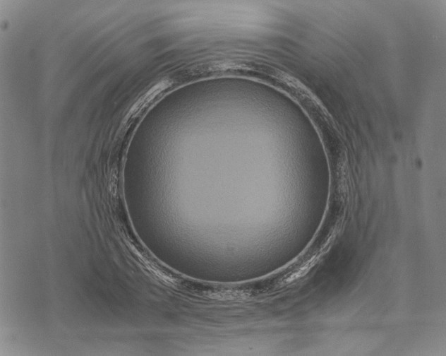 X0000072520785200608041531