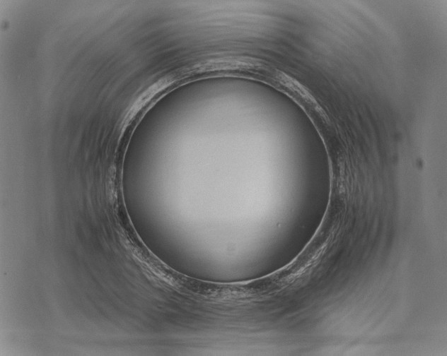 X0000072520786200608041531