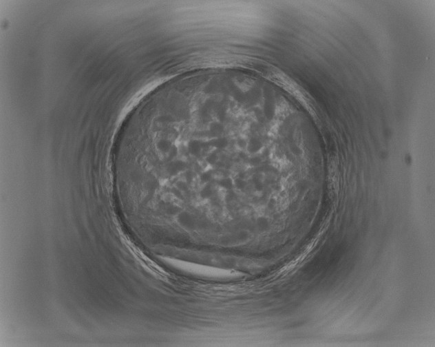 X0000072520787200608041531