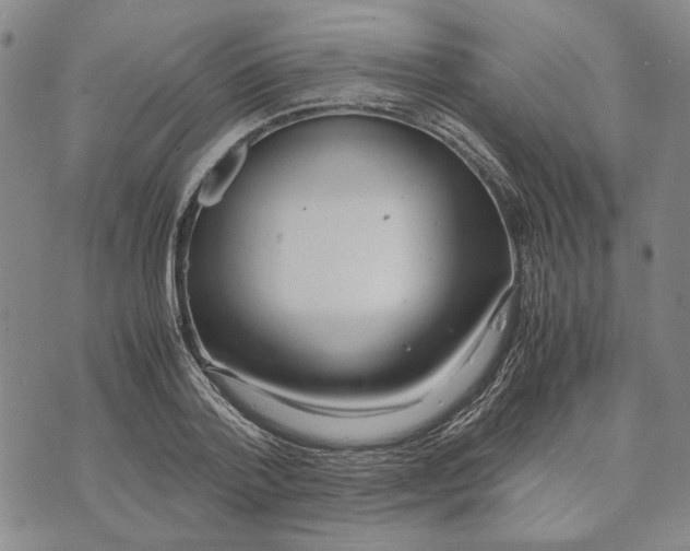 X0000072520788200608041531