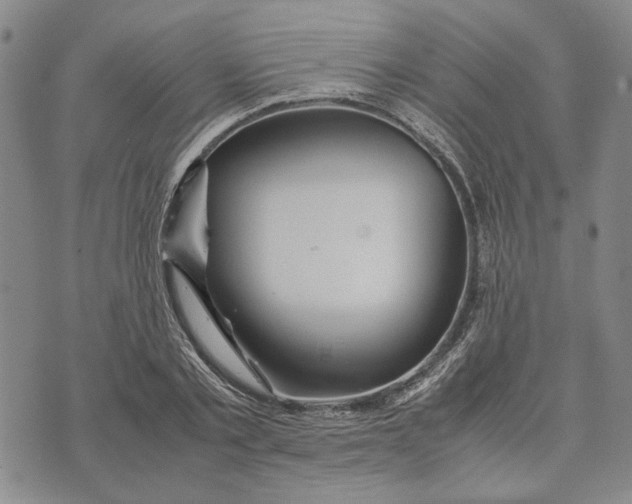 X0000072520789200608041531