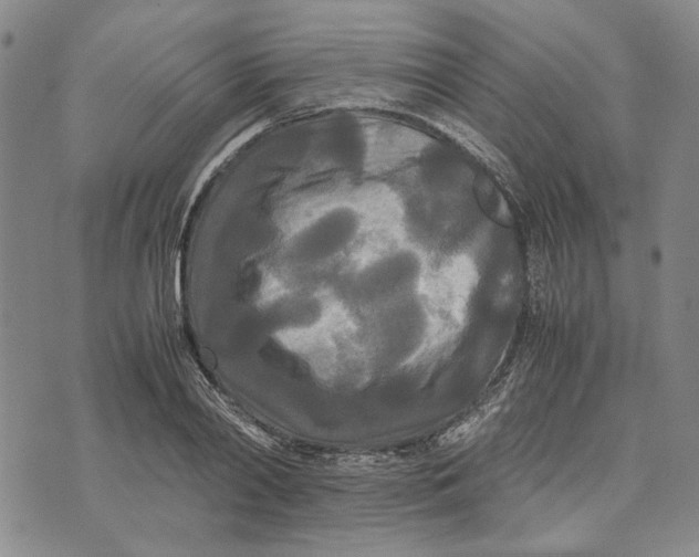 X0000072520790200608041531