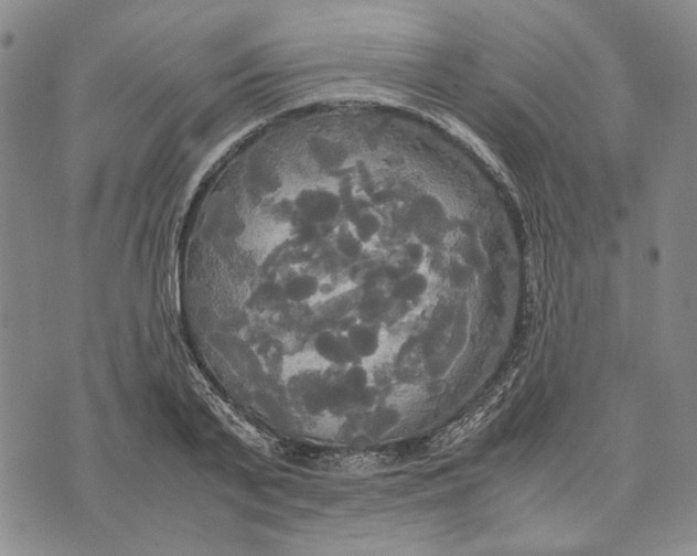 X0000072520791200608041531