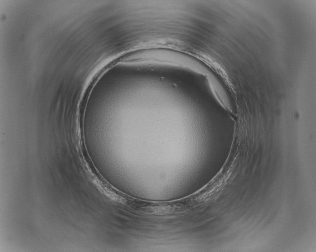 X0000072520792200608041531