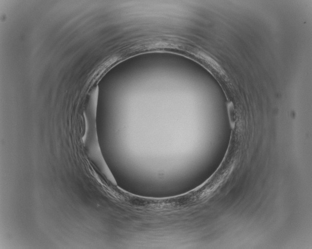 X0000072520793200608041531