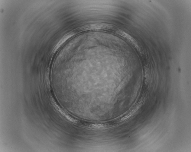 X0000072520794200608041531