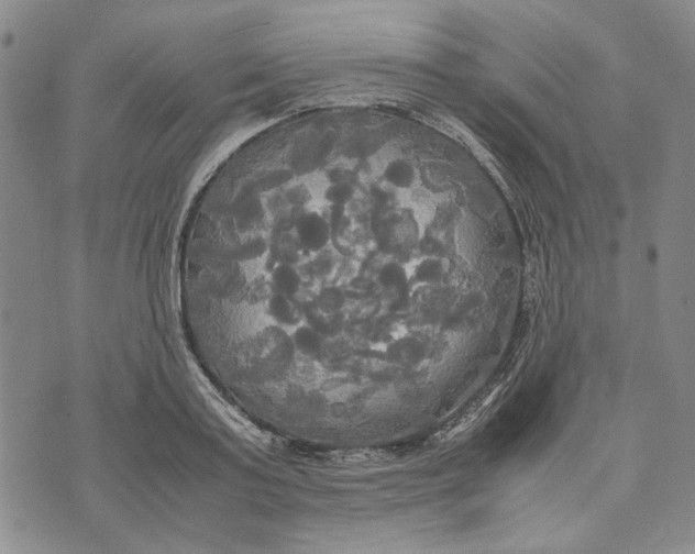 X0000072520795200608041531