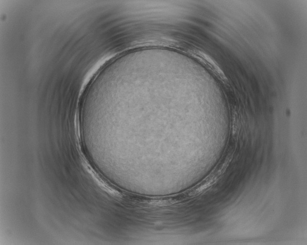 X0000072520796200608041531