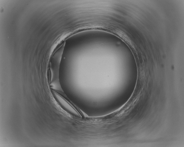 X0000072520797200608041530