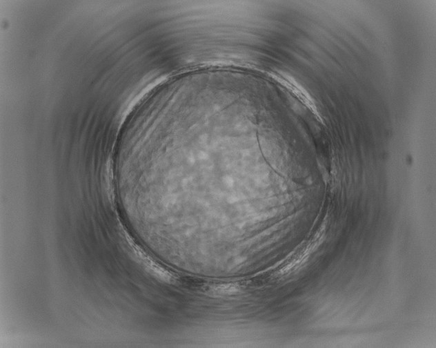 X0000072520798200608041530