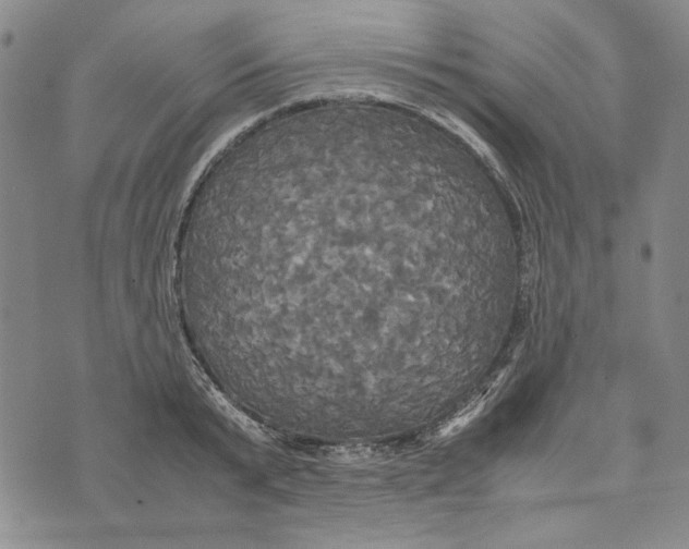 X0000072520799200608041530