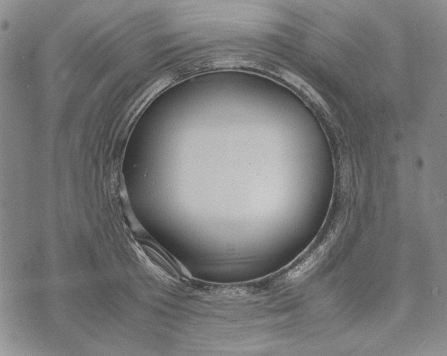 X0000072520801200608041530