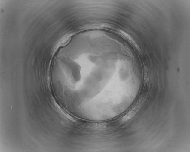 X0000072520802200608041530