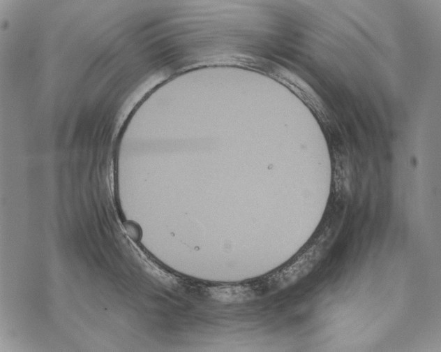 X0000072520804200608041530