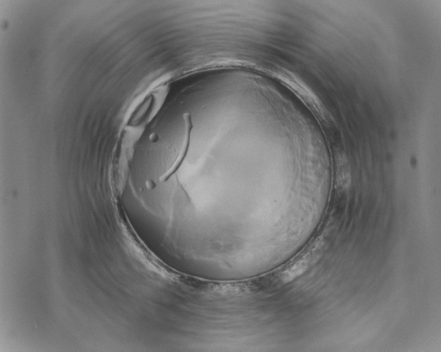 X0000072520806200608041530