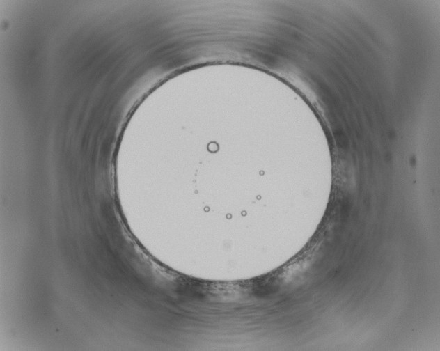 X0000072520807200608041530