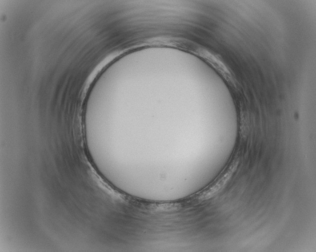 X0000072520808200608041530