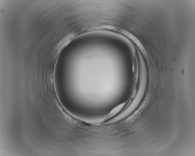 X0000072520809200608041530