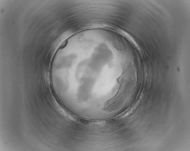 X0000072520810200608041530