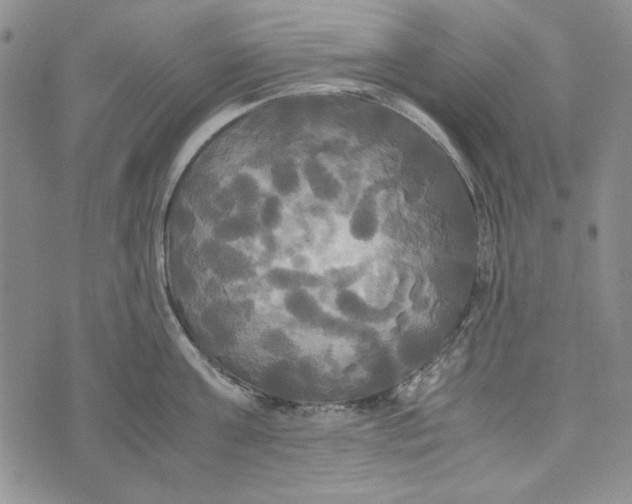 X0000072520811200608041530