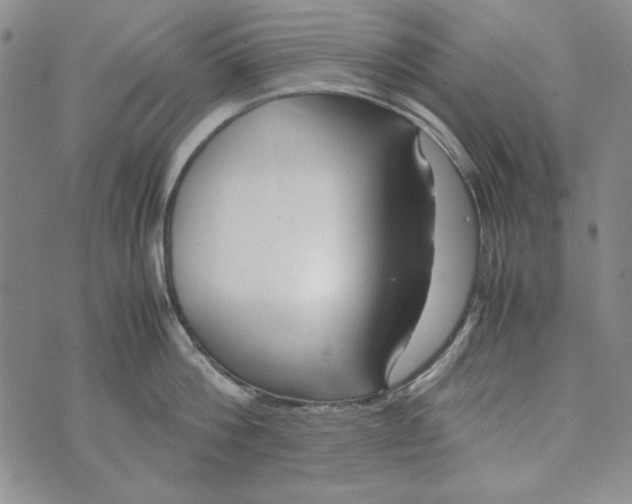 X0000072520812200608041530