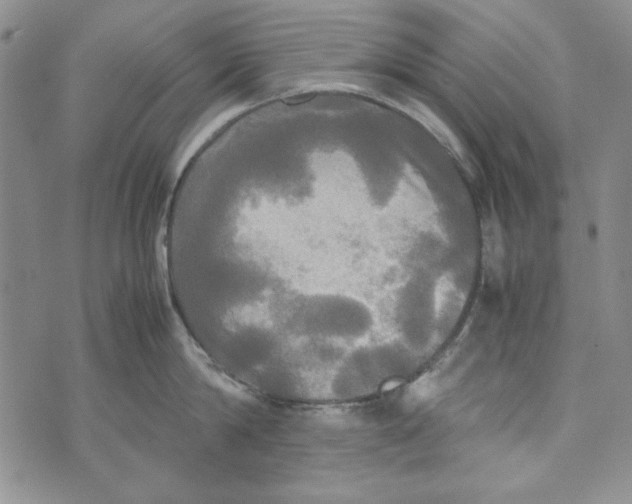 X0000072520814200608041530