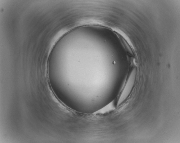 X0000072520815200608041530