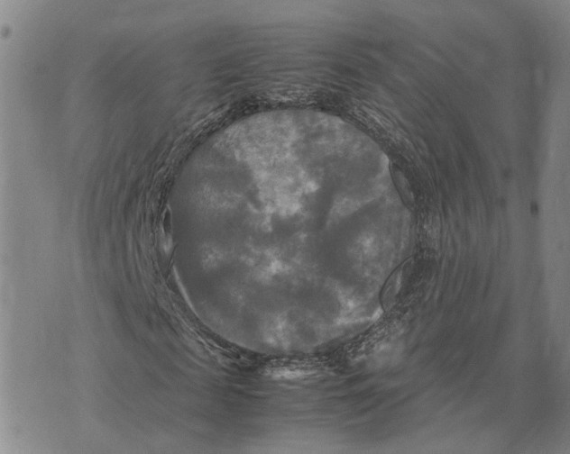 X0000072520817200608041529