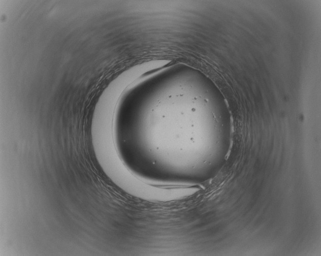 X0000072520818200608041529