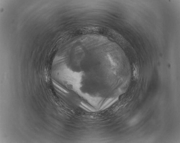 X0000072520819200608041529