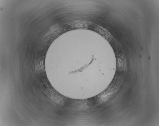 X0000072520820200608041529