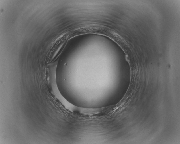 X0000072520822200608041529