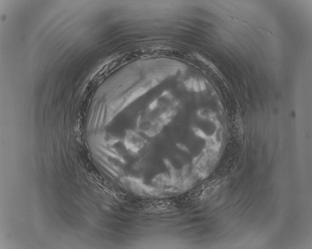 X0000072520823200608041529