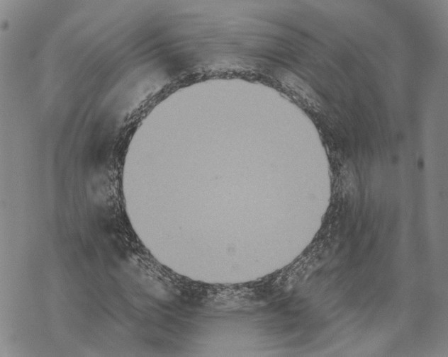 X0000072520824200608041530