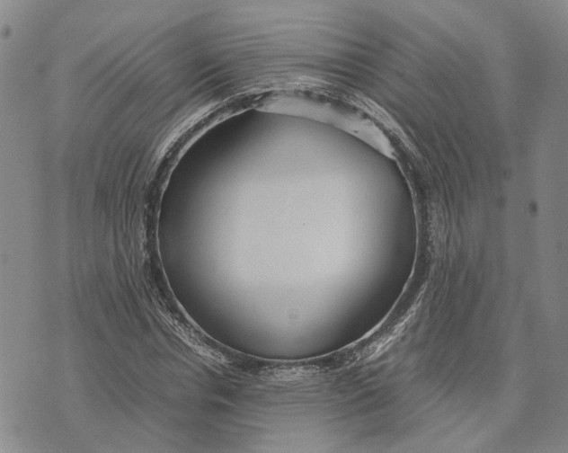 X0000072520826200608041530