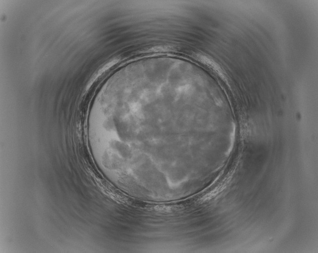 X0000072520827200608041530