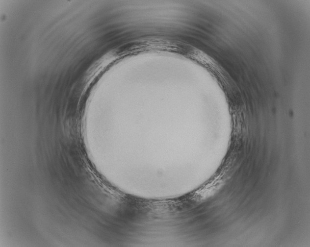 X0000072520828200608041530