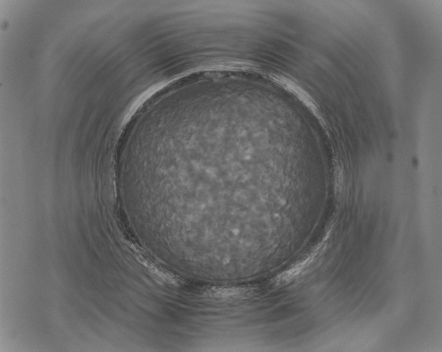 X0000072520829200608041530