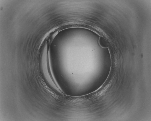 X0000072520830200608041530