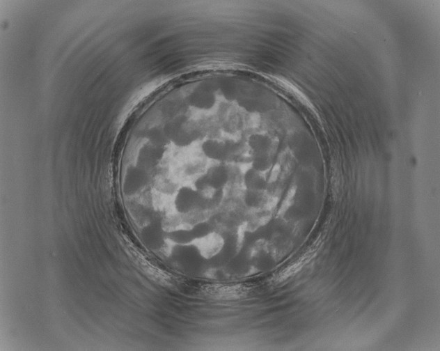 X0000072520831200608041530