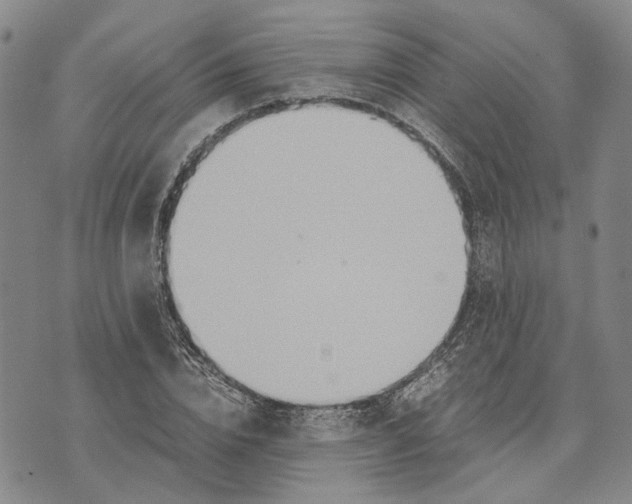 X0000072520832200608041530