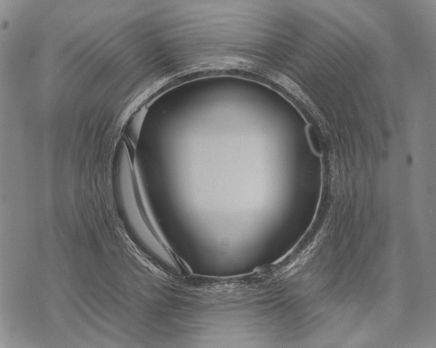 X0000072520834200608041530