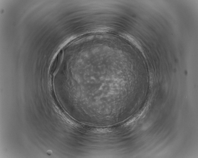 X0000072520835200608041530